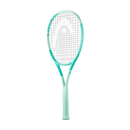 Boom MP 2024 Alternate